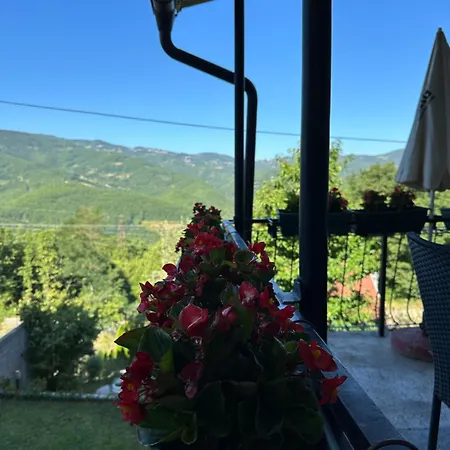 Milanovic Апартаменты